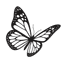 My Closet butterfly